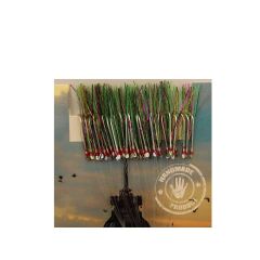 Çinekop Kösteği UV-GLOW Simli Youvella Kartonda 50 İğne 025mm Köstek 86