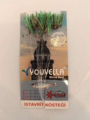 Çinekop Kösteği UV-GLOW Simli Youvella Kartonda 50 İğne 025mm Köstek 64