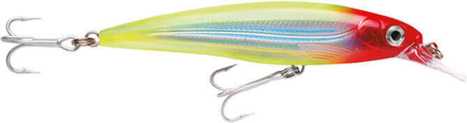 Rapala X-Rap Saltwater Sahte Balığı CLN - 100MM