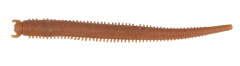 Berkley Gulp Saltwater Fat Sandworm Sahte Kurt