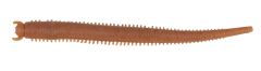 Berkley Gulp Saltwater Fat Sandworm Sahte Kurt NATURAL - 10CM