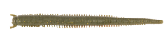 Berkley Gulp Saltwater Fat Sandworm Sahte Kurt CAMO - 10CM
