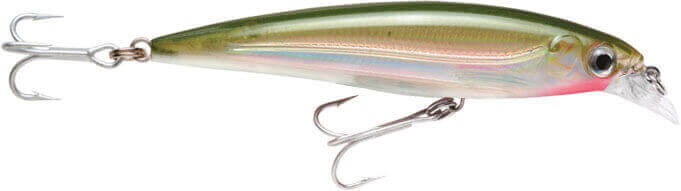 Rapala X-Rap Saltwater Sahte Balığı OG - 100MM