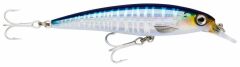 Rapala X-Rap Saltwater Sahte Balığı WHU - 120MM