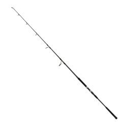 Captain 1410 Deep Game Fuji Jig Kamışı PE3-5 173cm 100-300gr Atar