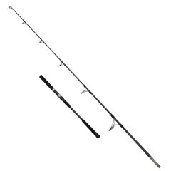 Captain 1410 Deep Game Fuji Jig Kamışı PE3-5 173cm 100-300gr Atar