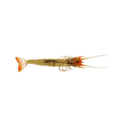 Albastar Gamba Silikon Karides 5CM - E026
