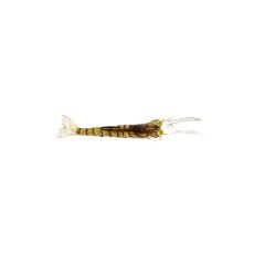 Albastar Gamba Silikon Karides 5CM - E027