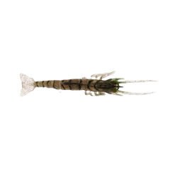 Albastar Gamba Silikon Karides E006 - 7.62CM