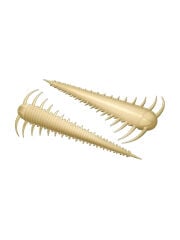 Libra Lures Slayzur Suni Yem 55MM