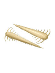 Libra Lures Slayzur Suni Yem 55MM