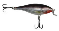 Rapala Shallow Shad Rap Sahte Balığı SSH - 70MM
