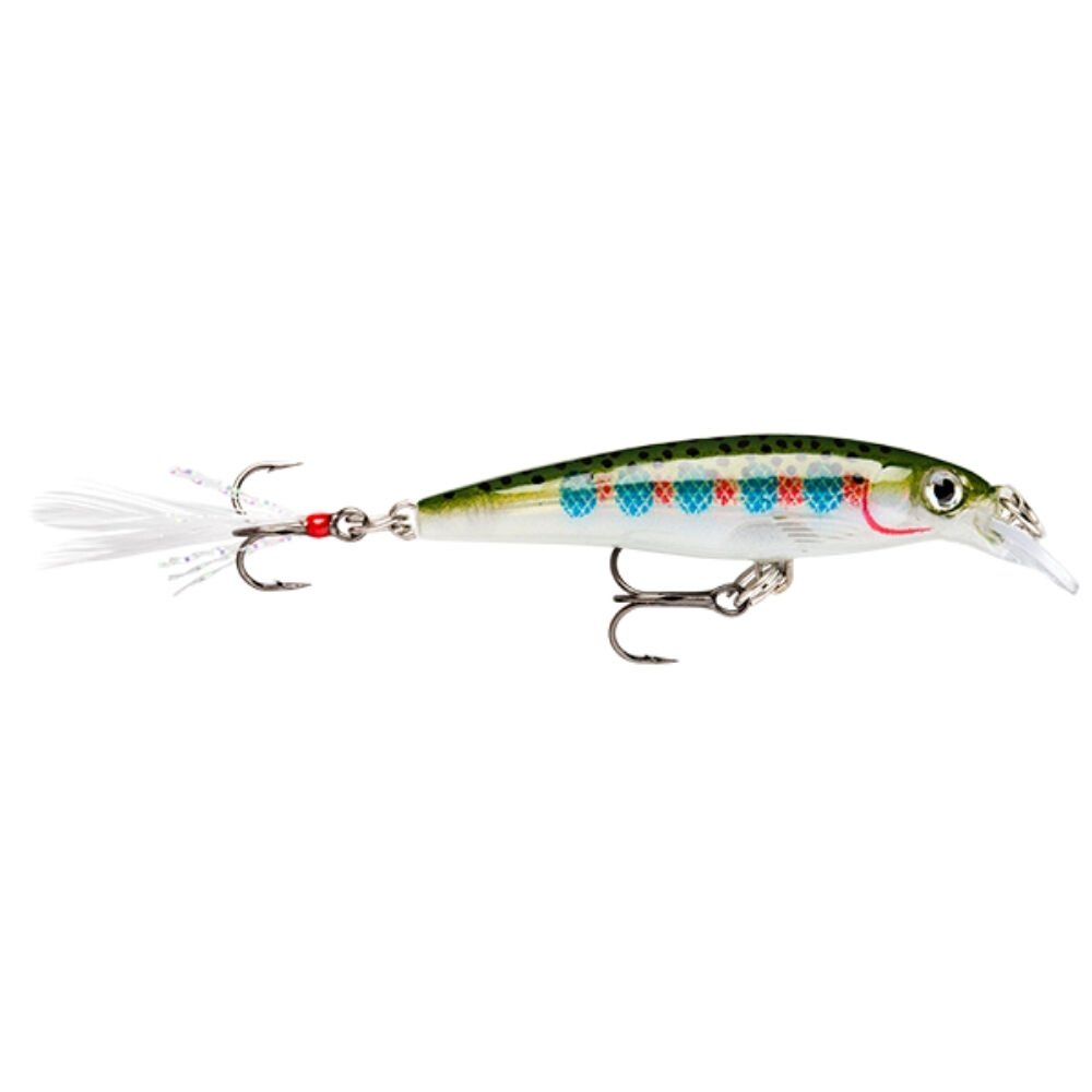 Rapala Freshwater X-Rap Sert Balık 100MM - RT