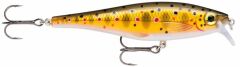Rapala Bx Minnow Sahte Balığı TR - 100MM