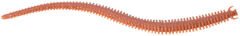 Berkley Gulp Alive Nereis Sahte Kurt NATURAL - 15CM - 14LÜ