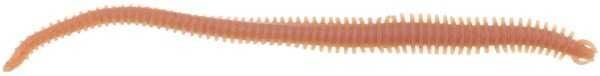 Berkley Gulp Alive Nereis Sahte Kurt NATURAL - 15CM - 14LÜ