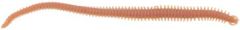 Berkley Gulp Alive Nereis Sahte Kurt NATURAL - 15CM - 14LÜ