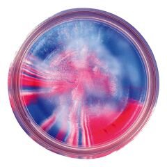 Berkley Powerbait Natural Glitter Trout Bait Garlic Sahte Yemi GARLIC GLITTER - 50 GR